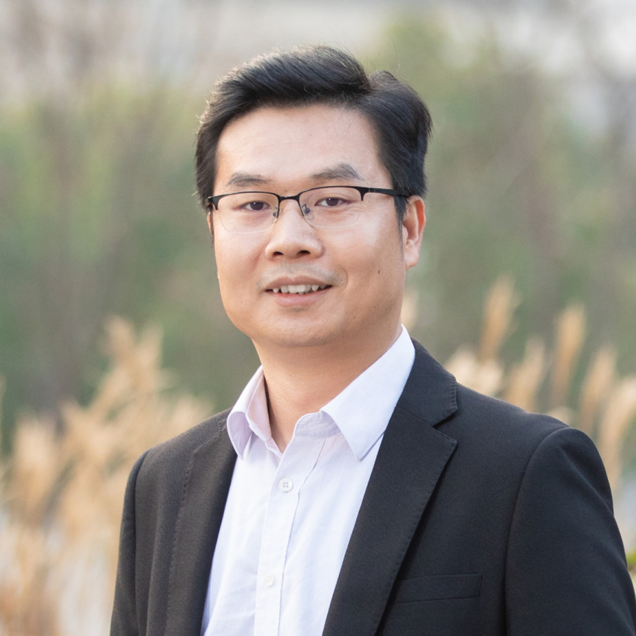 Imviva Official Website Development